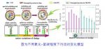 城鎮(zhèn)污水污泥處理研究取得新成果-廣東水展 watertech china (guangdong) - 2026年3月5-7日-環(huán)保水處理 | 膜與水處理 | 凈水設(shè)備及配件