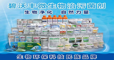 碧沃豐高調(diào)亮相廣東國際水展