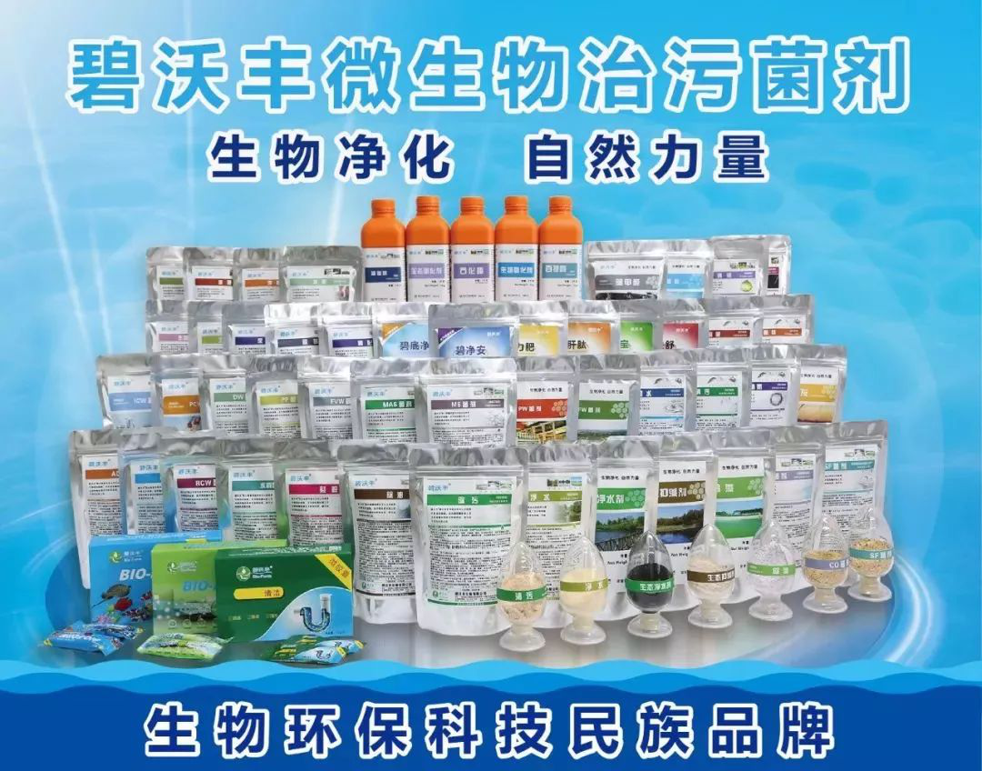 碧沃豐高調(diào)亮相廣東國際水展-廣東水展 watertech china (guangdong) - 2026年3月5-7日-環(huán)保水處理 | 膜與水處理 | 凈水設(shè)備及配件