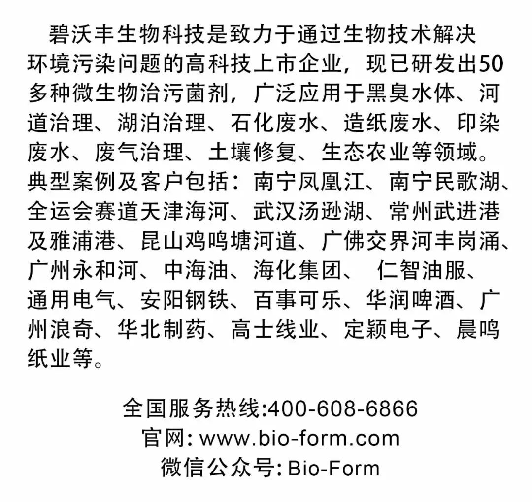 碧沃豐高調(diào)亮相廣東國際水展-廣東水展 watertech china (guangdong) - 2026年3月5-7日-環(huán)保水處理 | 膜與水處理 | 凈水設(shè)備及配件