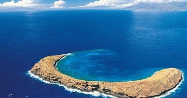 全文 | 九部門關于推進農(nóng)村生活污水治理的指導意見
