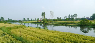 國內外農村污水處理設施建設運營現(xiàn)狀與思考