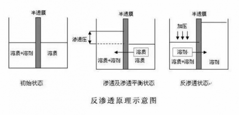 ro膜是什么？為什么說它是凈水器的靈魂？  hot