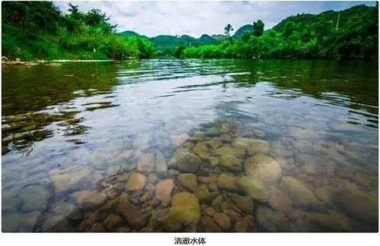 芬頓氧化一絮凝沉淀處理焦化廢水應(yīng)用研究
