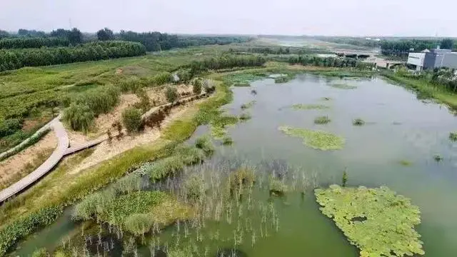 市政 || 中環(huán)報(bào)點(diǎn)贊任城！人工濕地變身“城市凈水器”-廣東水展 watertech china (guangdong) - 2026年3月5-7日-環(huán)保水處理 | 膜與水處理 | 凈水設(shè)備及配件