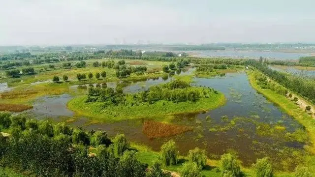 市政 || 中環(huán)報(bào)點(diǎn)贊任城！人工濕地變身“城市凈水器”-廣東水展 watertech china (guangdong) - 2026年3月5-7日-環(huán)保水處理 | 膜與水處理 | 凈水設(shè)備及配件