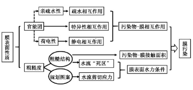 高壓膜表面性質(zhì)對膜污染的影響機(jī)制