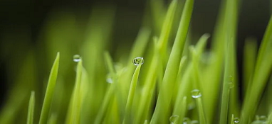 次氯酸鈉去除氨氮 加藥量多少效果比較好？