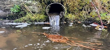 擊破黑臭水體！福州市印發(fā)進(jìn)一步推進(jìn)入海排污口分類整治實施方案
